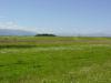 DSC00095